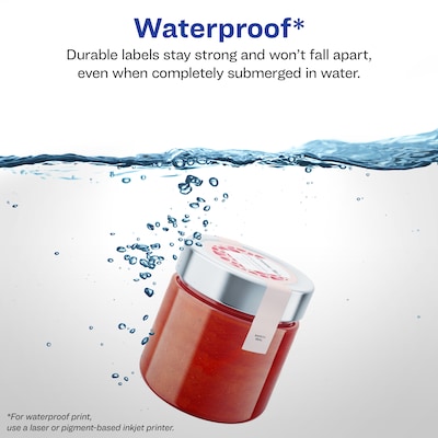 Avery Laser/Inkjet Decorative Edge Waterproof Multipurpose Labels, 8 x 2.375, White, 300/Box (94117)