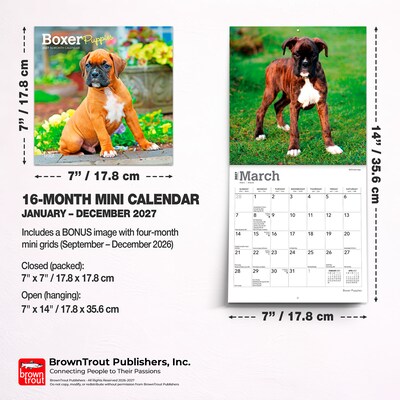2027 BrownTrout Boxer Puppies 7" x 7" Monthly Wall Calendar, Assorted Colors (9798330709946)