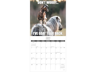 2024 Willow Creek You Goat This 12" x 12" Monthly Wall Calendar (37546)