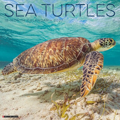 2027 Willow Creek Sea Turtles 12 x 12 Monthly Wall Calendar, Assorted Colors (62210)
