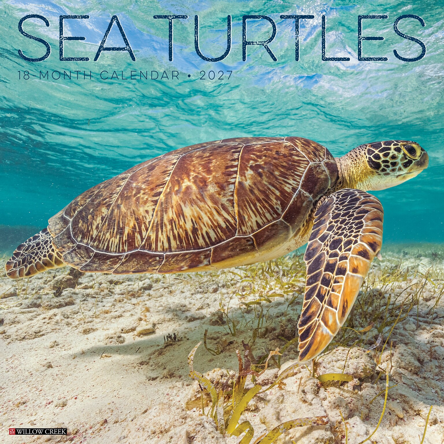 2027 Willow Creek Sea Turtles 12 x 12 Monthly Wall Calendar, Assorted Colors (62210)