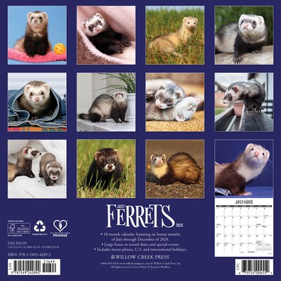 2025 Willow Creek Ferrets 12" x 12" Monthly Wall Calendar (42892)