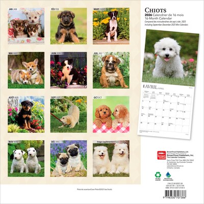 2026 BrownTrout Chiots 12 x 12 Monthly Wall Calendar (9798330707386)