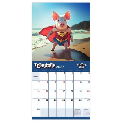 2027 TF Publishing Playful Pigs 11 x 12 Monthly Wall Calendar, Multicolored (27-1023)