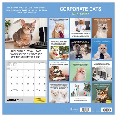 2027 TF Publishing Corporate Cats 12" x 12" Monthly Wall Calendar (27-1005)