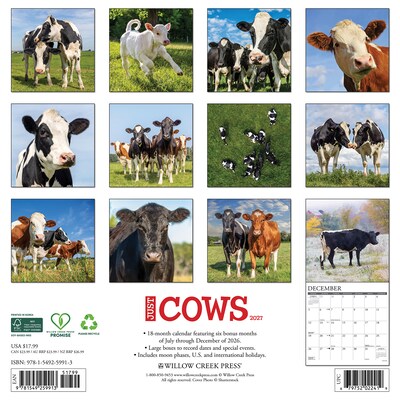 2027 Willow Creek Cows 12 x 12 Monthly Wall Calendar, Assorted Colors (59913)