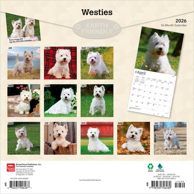 2026 BrownTrout West Highland White Terriers 12 x 12 Monthly Wall Calendar (9798330706280)