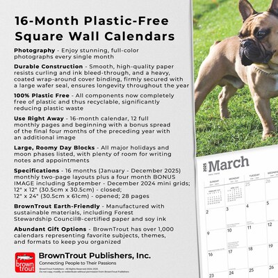 2025 BrownTrout French Bulldogs 12" x 12" Monthly Square Wall Calendar (9781975476984)