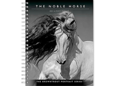 2024 BrownTrout Portrait Series: The Noble Horse 6 x 7.75 Weekly & Monthly Engagement Planner, Bla