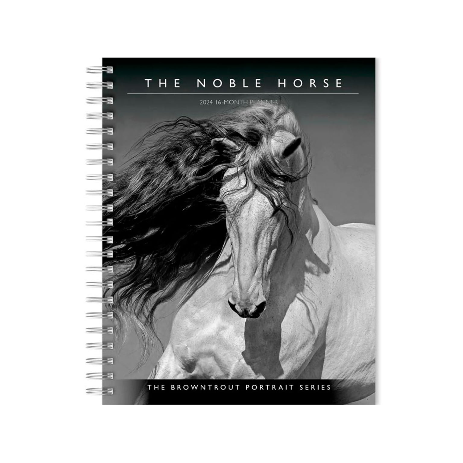 2024 BrownTrout Portrait Series: The Noble Horse 6 x 7.75 Weekly & Monthly Engagement Planner, Black/White (9781975468866)