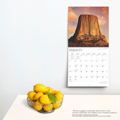 2025 BrownTrout Wyoming Wild & Scenic 12" x 12" Monthly  Wall Calendar (9781975475987)