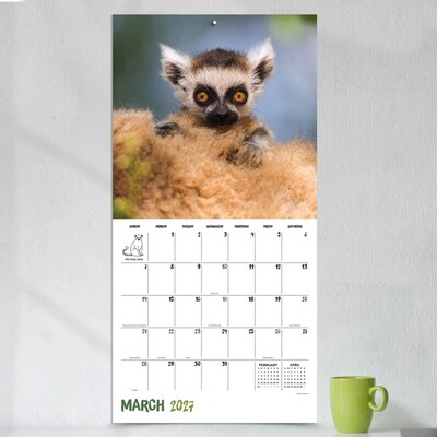 2027 TF Publishing Baby Animals 11" x 12" Monthly Wall Calendar (27-1000)