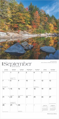 2025 BrownTrout Maine Wild & Scenic 12" x 12" Monthly Square Wall Calendar (9781975475161)