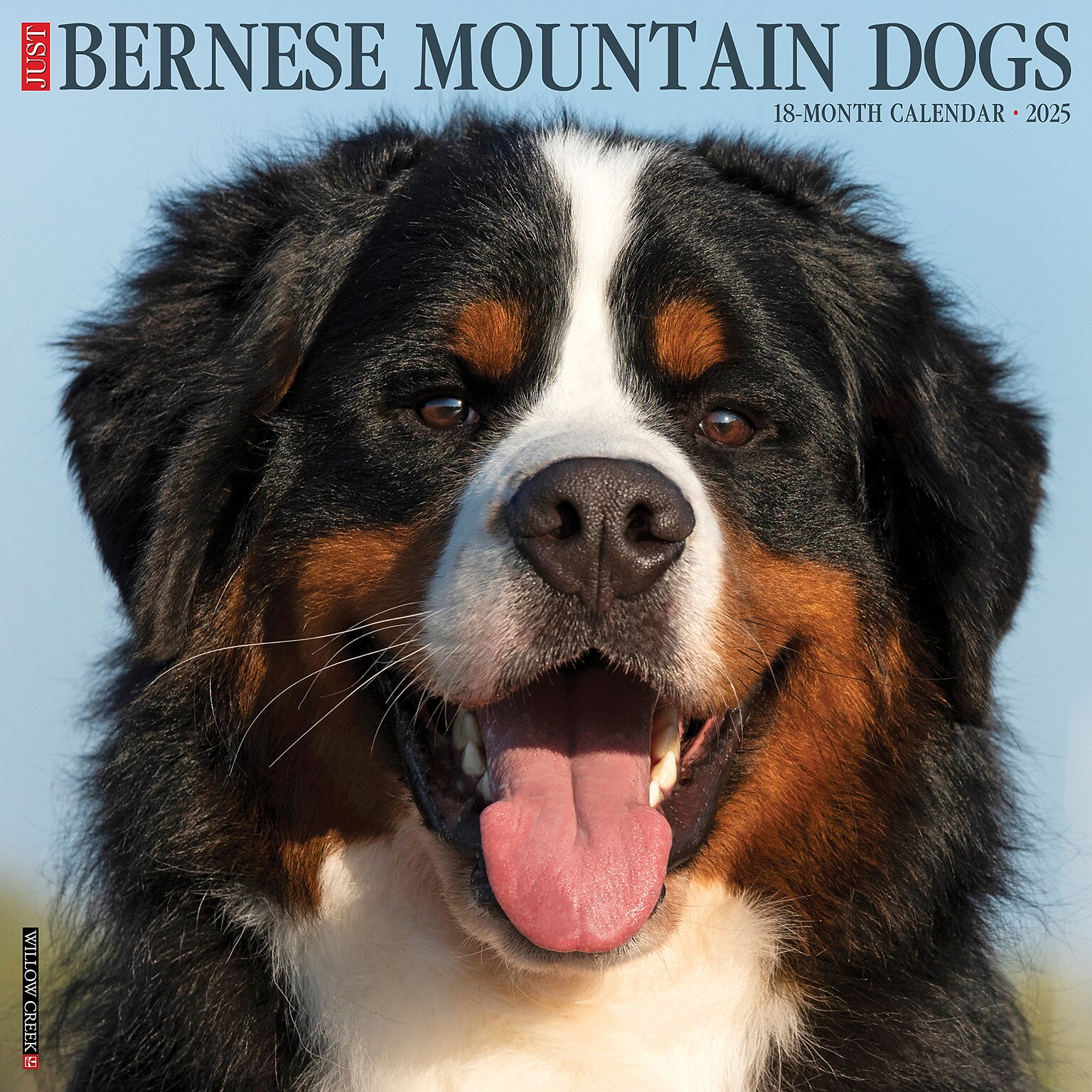 2025 Willow Creek Just Bernese Mountain Dog 12 x 12 Monthly Wall Calendar (41697)