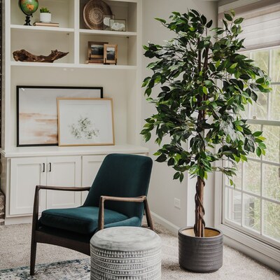 Forever Leaf 72 Artificial Ficus Silk Tree in Black Pot (FEV-FIC72)
