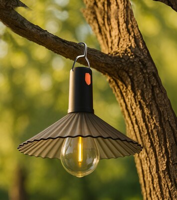 GIFT OF THE WEEK - Rechargeable Camping/Emergency Light