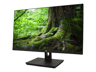 V7 23.8" LED Monitor, Black  (L238IPS-N)