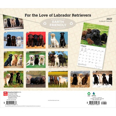 2027 BrownTrout For the Love of Labrador Retrievers 14 x 12 Monthly Wall Calendar, Assorted Colors (9798330714681)