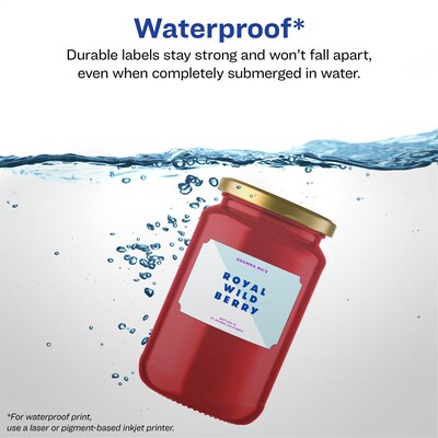 Avery Laser/Inkjet Decorative Edge Waterproof Multipurpose Labels, 3  x 2, White, 400/Box (94267)