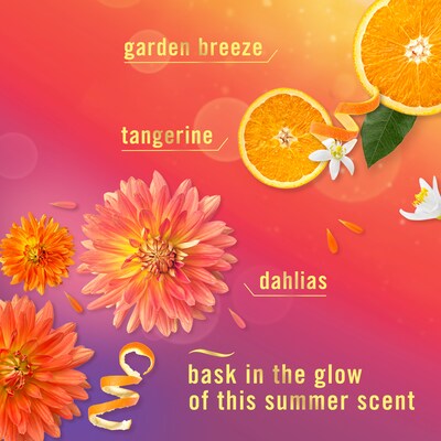 Febreze Plug In Oil Warmer Refill, Summer Golden Hour Scent, 0.87 oz., 2/Pack (15577)