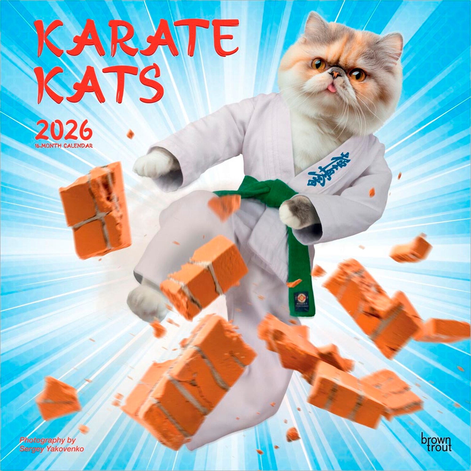 2026 BrownTrout Karate Cats 12 x 12 Monthly Wall Calendar (9798330701889)