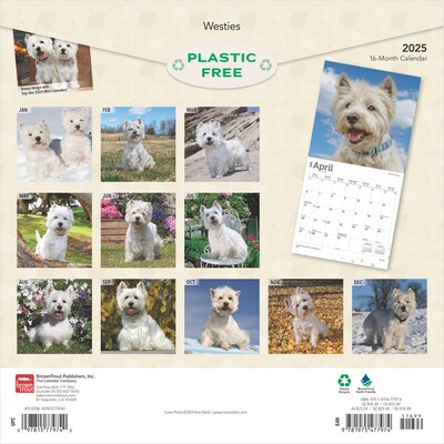 2025 BrownTrout West Highland White Terriers 12 x 12 Monthly Wall Calendar (9781975477974)