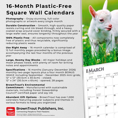 2026 BrownTrout Baby Goats 12" x 12" Monthly Wall Calendar (9798330702268)