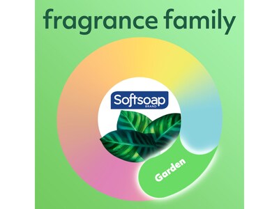 Softsoap Antibacterial Liquid Foaming Hand Soap Refill, Aloe Vera Scent, 50 Fl. Oz., 6/Carton (US05264ACT)