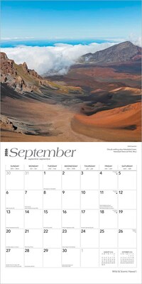 2026 BrownTrout Hawaii Wild & Scenic 12" x 12" Monthly Wall Calendar (9798330703609)