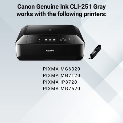 Canon 251 Gray Standard Yield Ink Cartridge  (6517B001)
