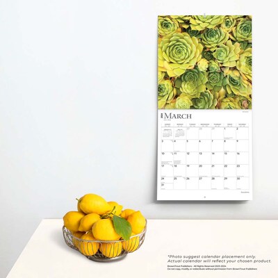 2024 BrownTrout Succulents 12" x 12" Monthly Wall Calendar (9781975465209)