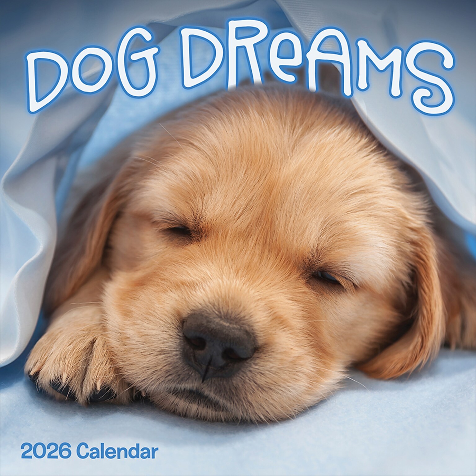 2026 TF Publishing Dog Dreams 12 x 12 Monthly Wall Calendar (26-1010)