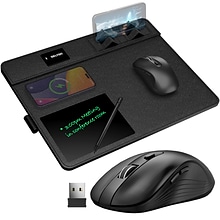 Delton S8/D101 Wireless Optical 2.4 GHz Mouse and Non-Skid Mouse Pad, Black (DMMPADKIT101)