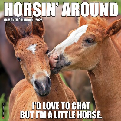 2025 Willow Creek Horsin’ Around 12 x 12 Monthly Wall Calendar (43394)