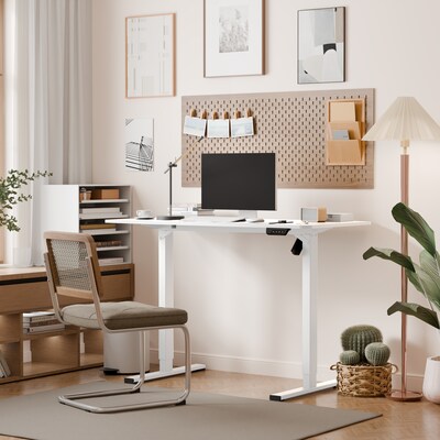 FlexiSpot EC2 48"W Electric Rectangular Adjustable Standing Desk, White (EC2W-4824W)