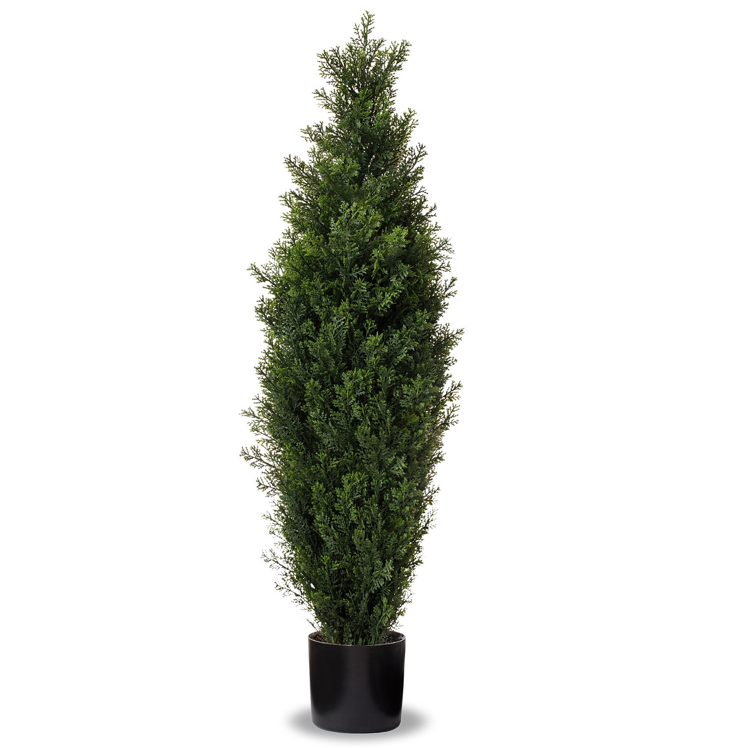 Forever Leaf 36 Cedar Boxwood in Black Pot, 2/Pack (FEV-2PBOX36)