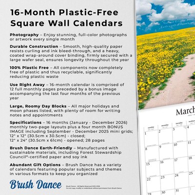 2026 Brush Dance Pathways 12" x 12" Monthly Wall Calendar (9798330706556)
