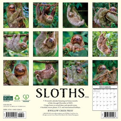 2026 Willow Creek Sloths 12 x 12 Monthly Wall Calendar (52846)