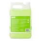 Perk All Purpose Cleaner Refills, Ready To Use, 1 Gallon, 4/Carton (PK641001-ACT)