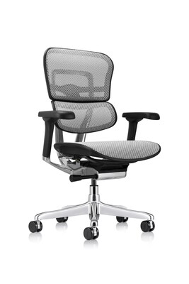 Eurotech Ergohuman Gen2 High Back Mesh Office Chair, Gray (ME8ERGLO-GEN2-GRY)