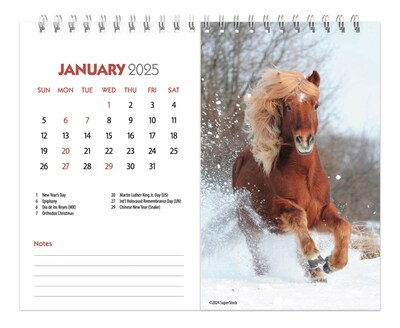 2025 BrownTrout Horse Lovers 7.5" x 6" Monthly Desk Calendar (9781975478476)
