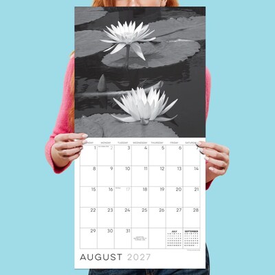 2027 TF Publishing Zen Nature 12" x 12" Monthly Wall Calendar, Multicolored (27-1149)