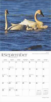 2025 BrownTrout Michigan Nature 12" x 12" Monthly Square Wall Calendar (9781975475260)