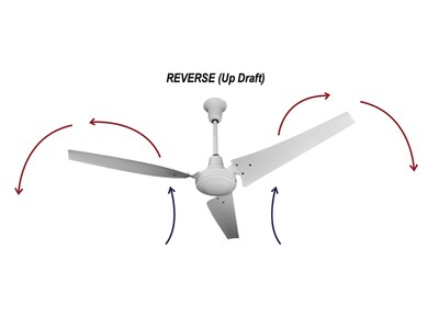 TPI E-CF Series 56 Ceiling Fan, White (08198202)