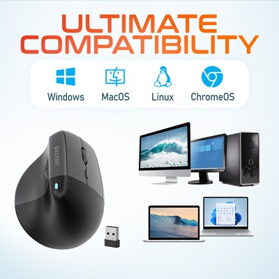 Delton S38 Wireless Ergonomic Optical Mouse, Black (DMS38-WB)