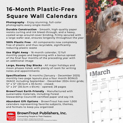 2025 BrownTrout Havanese 12" x 12" Monthly  Wall Calendar (9781975478162)