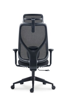 Raynor Group Torque Ergonomic Fabric/Mesh Swivel Manager Chair, Black (TORQUE-BF-BLK)