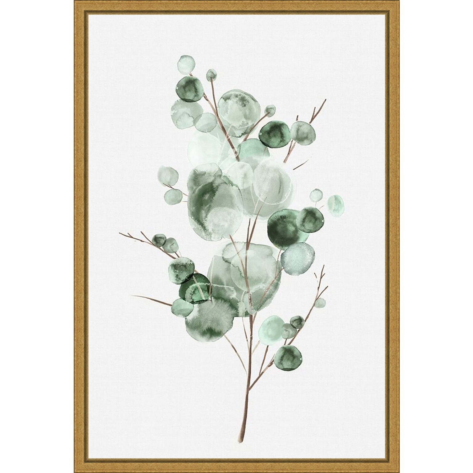Amanti Art Tender Sprout I (Eucalyptus) by Eva Watts Framed Canvas Wall Art Print, 16 x 23 (A42675040760)