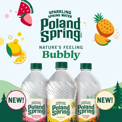 Poland Spring Variety Pack Sparkling Purified Water, 16.9 oz., 24/Pack (2000093)