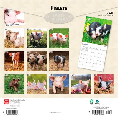 2026 BrownTrout Piglets 12 x 12 Monthly Wall Calendar (9798330705139)